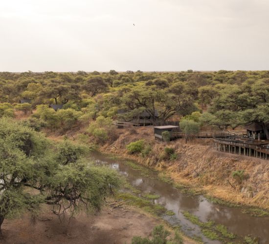 Mogotlho Safari Lodge
