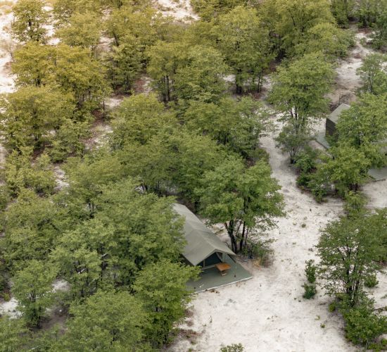 Camelthorn Bush Camp
