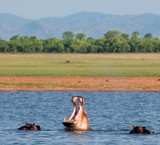 Highlights Zimbabwe (9 Tage)