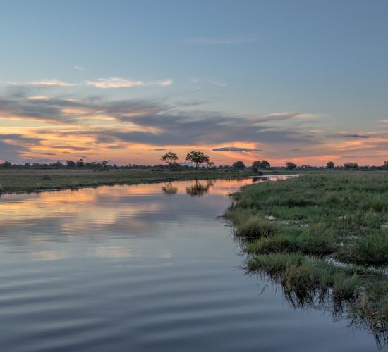 Botswana Sensations Safari
